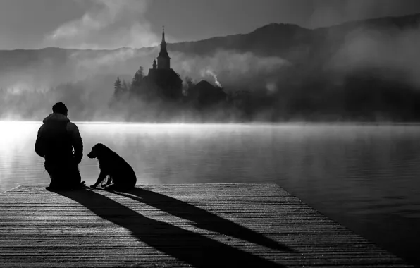 Landscape, nature, photo, water, dog, monochrome, lake, fog