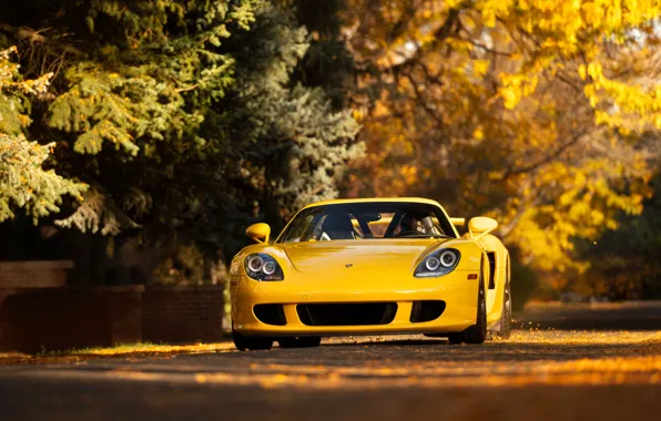 Картинка Porsche, Porsche Carrera GT, front view