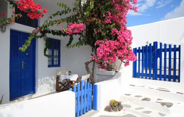 Картинка Цветы, ворота, Санторини, Греция, Дом, калитка, Flowers, Santorini