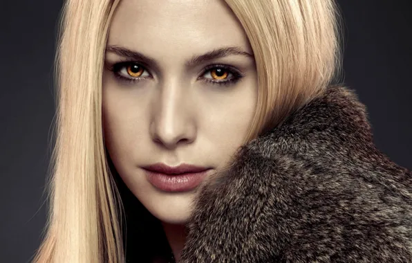 Девушка, актриса, блондинка, вампир, Сумерки Сага Рассвет, The Twilight Saga Breaking Dawn - Part 2