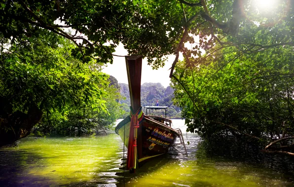 Вода, деревья, лодка, Тайланд, джугнли
