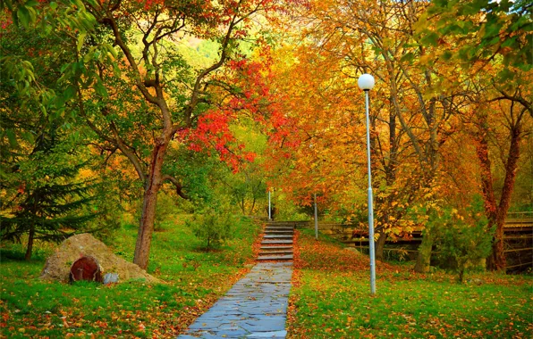 Осень, Деревья, Парк, Fall, Листва, Дорожка, Park, Autumn