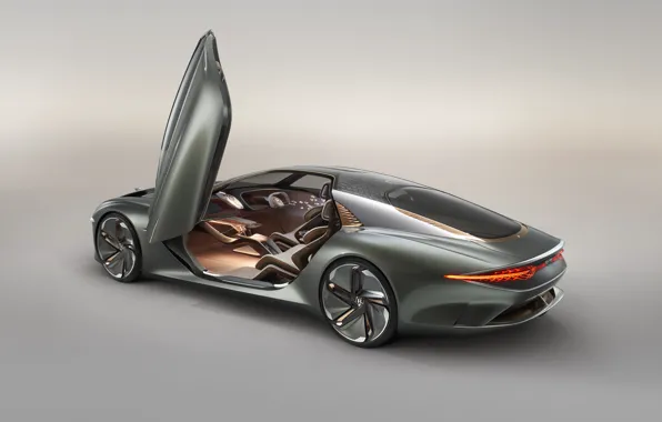 Concept, Bentley, дверь, 2019, EXP 100 GT
