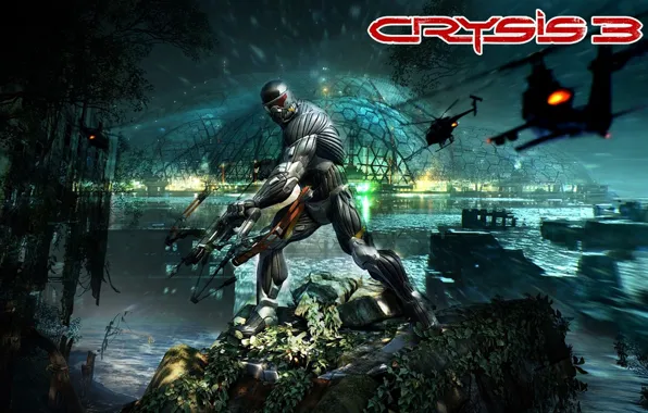 Crysis, gun, USA, rock, soldier, armor, weapon, New York