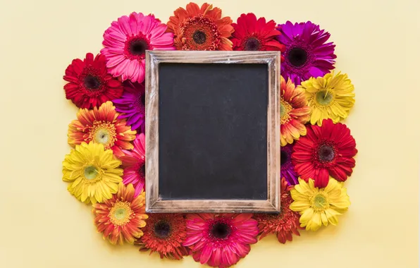 Цветы, рамка, хризантемы, wood, flowers, spring, bright