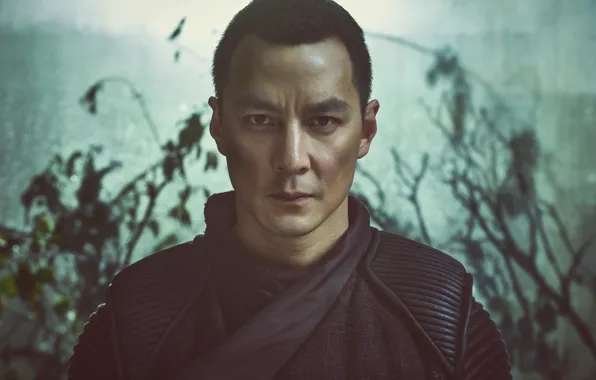 AMC, tv series, Netflix, Into the Badlands