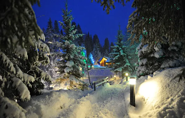 Зима, Вечер, Winter, Evening, Карелия, Karelia, Snow Trees, Снежные Деревья