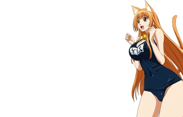 Girl, sexy, cleavage, long hair, boobs, animal ears, anime, beautiful