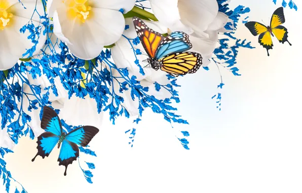 Картинка цветы, коллаж, бабочка, крылья, лепестки, тюльпаны, мотылек