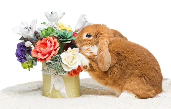 Цветы, кролик, Пасха, happy, rabbit, flowers, spring, Easter