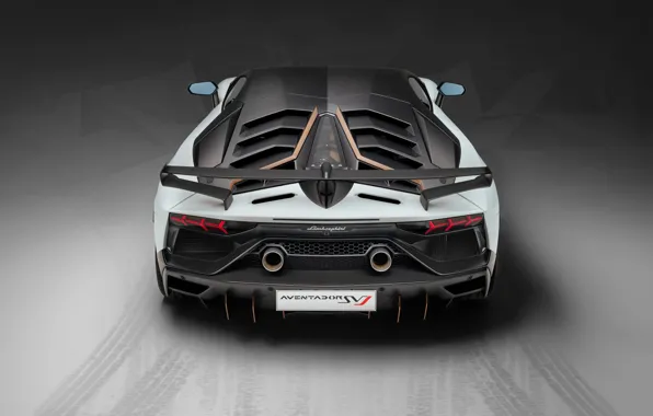 Картинка Lamborghini, суперкар, вид сзади, 2018, Aventador, Aventador SVJ, SVJ 63
