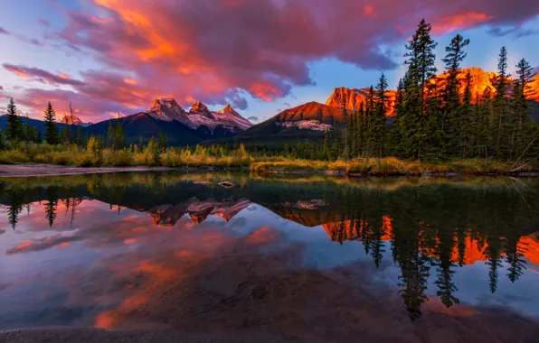 Деревья, закат, горы, отражение, река, Канада, Альберта, Alberta