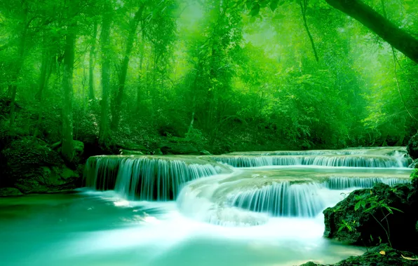 Зелень, вода, деревья, камни, листва, Река