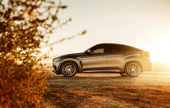Природа, дизайн, BMW X6M