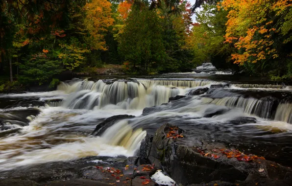 Картинка осень, лес, река, водопад, Мичиган, каскад, Michigan, Bond Falls