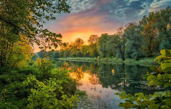 Картинка лес, деревья, закат, природа, отражение, река