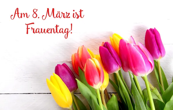 Картинка цветы, праздник, букет, тюльпаны, 8 марта, женский день