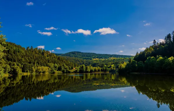 Картинка лес, озеро, отражение, Германия, Germany, Баден-Вюртемберг, Baden-Württemberg, озеро Альбштау