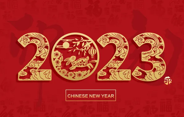 Праздник, луна, цифры, фонарь, иероглифы, красный фон, New Year, Chinese