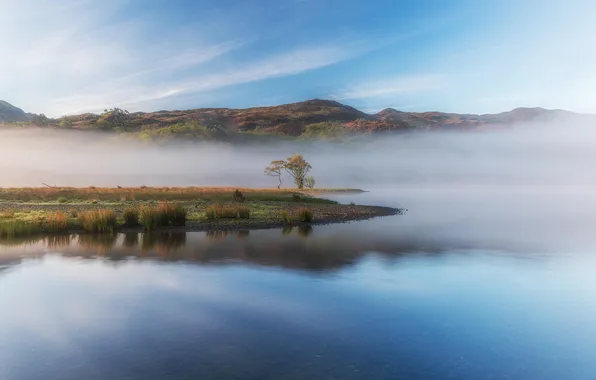 Forest, trees, landscape, nature, Europe, lake, fog, shore