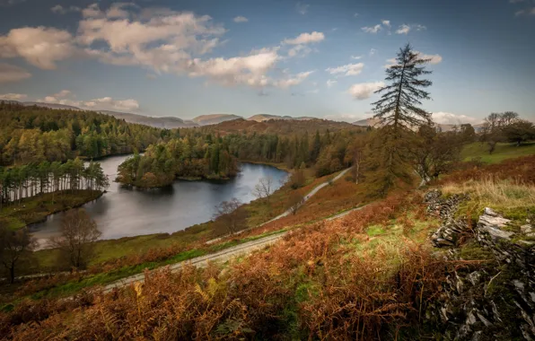 Картинка осень, деревья, озеро, остров, Англия, Камбрия, озёрный край