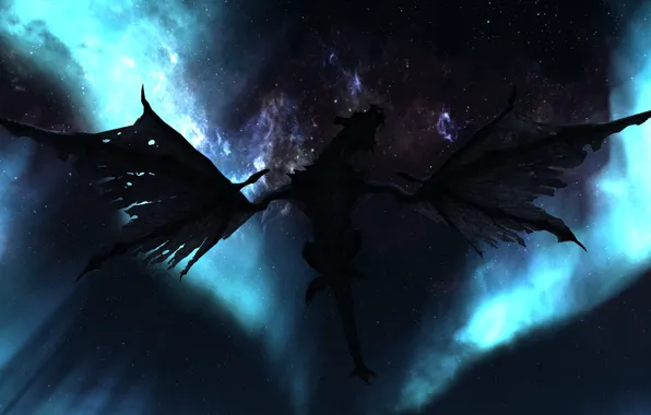 Картинка небо, звезды, полет, ночь, дракон, крылья, силуэт, Skyrim