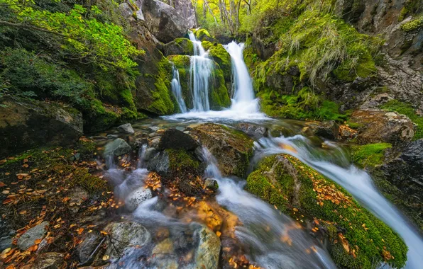 Лес, водопад, каскад, Argentina, Аргентина, Patagonia, Патагония, Санта-Крус