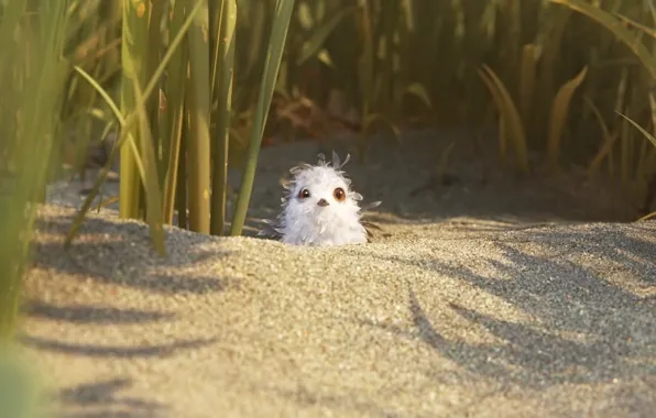 Beach, bird, disney, cute, Piper, 2016, anim
