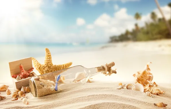 Картинка песок, море, пляж, лето, солнце, отдых, берег, ракушки