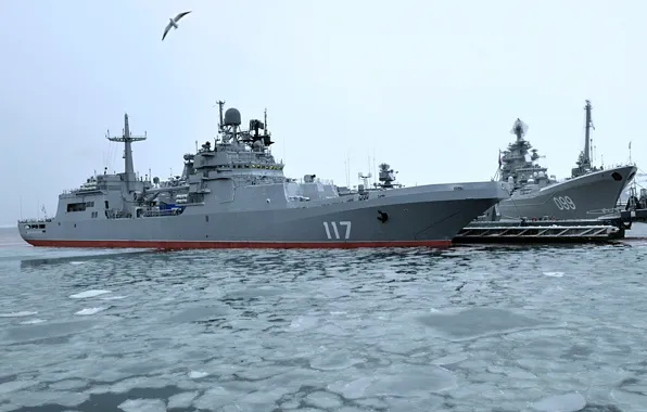 Корабль, большой, десантный, Пётр Моргунов