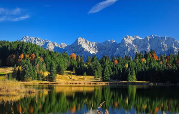 Картинка осень, лес, небо, облака, свет, горы, природа, озеро