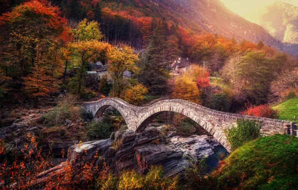Осень, деревья, мост, Швейцария, Альпы, Switzerland, Alps, Ticino