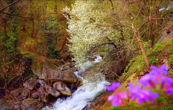 Картинка Весна, Водопад, Камни, Spring, Цветение, Waterfall, Flowering