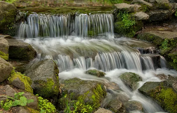 Картинка лес, ручей, камни, водопад, мох, США, Йосемити