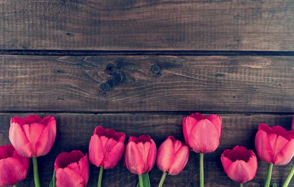 Цветы, букет, тюльпаны, wood, pink, romantic, tulips, spring