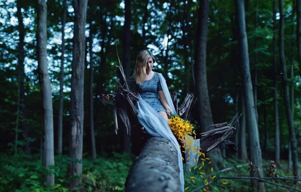Картинка лес, девушка, цветы
