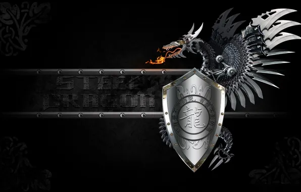 Картинка металл, дракон, арт, иероглифы, щит, черный фон, Steel Dragon