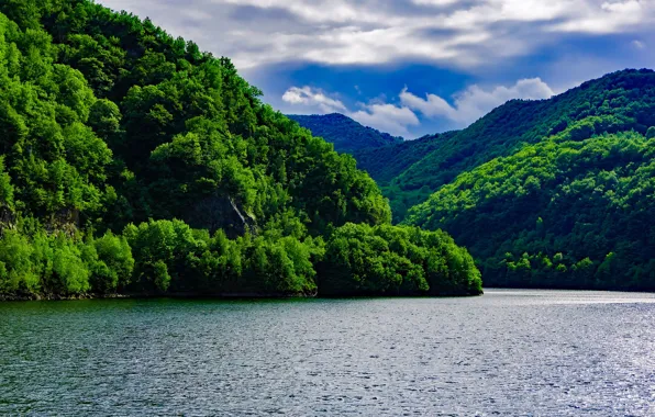 Картинка зелень, лес, небо, облака, деревья, горы, река, Румыния