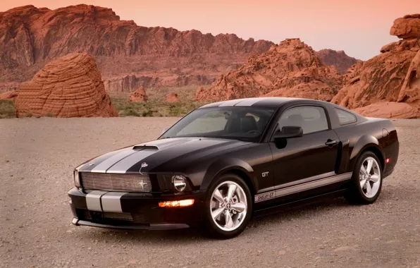Shelby, mustang, gt500