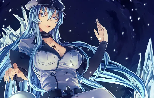 Девушка, лёд, Akame ga kill, убийца Акаме, Esdeath, Jaegers