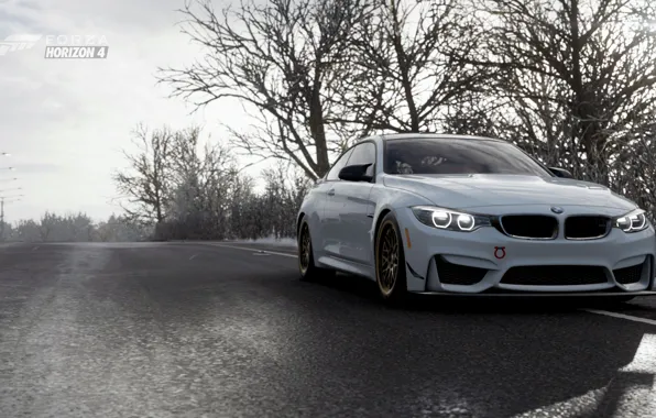 Трасса, Зима, BMW M4, Forza Horizon 4