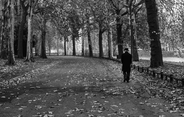 Парк, Франция, чёрно-белое, опавшие листья, Лилль