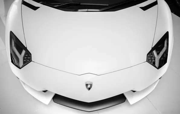 Картинка белый, фары, Lamborghini, суперкар, white, supercar, front, aventador