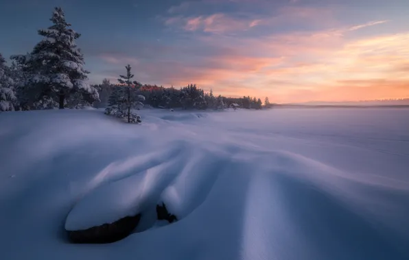 Зима, снег, деревья, вечер, Норвегия, Norway, Romsdalen, Ole Henrik Skjelstad