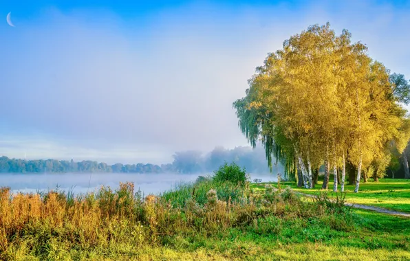 Осень, небо, трава, деревья, желтый, туман, озеро, синева