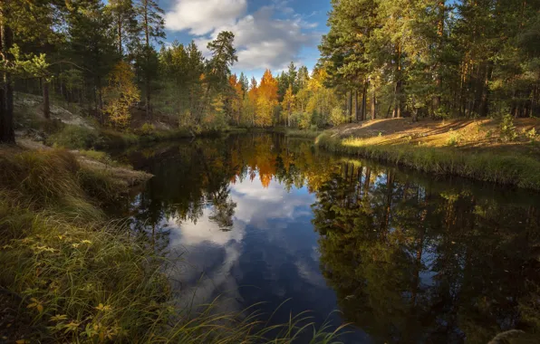 Картинка осень, лес, облака, пейзаж, природа, отражение, река, берега