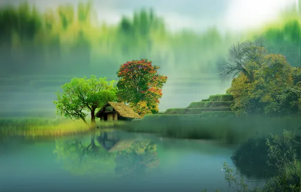 Картинка деревья, пейзаж, природа, озеро, дом, отражение, графика, digital art
