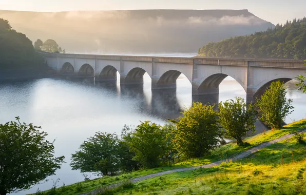Лес, солнце, деревья, мост, туман, река, England, Edale Valley