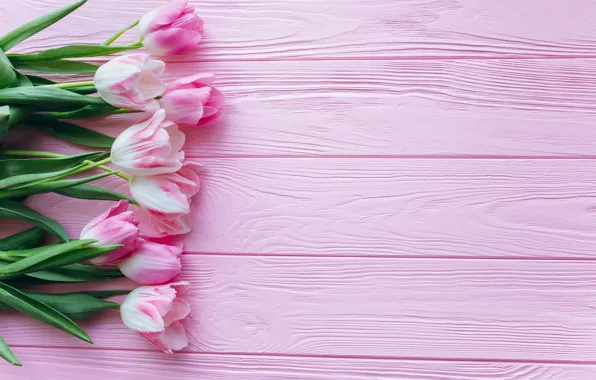 Цветы, тюльпаны, розовые, fresh, wood, pink, flowers, beautiful