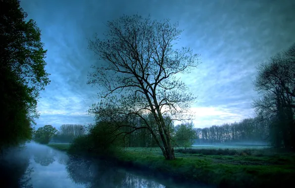 Картинка облака, деревья, туман, река, утро